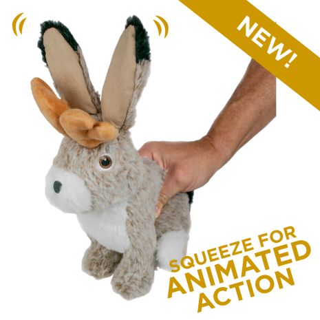 Jackalope Animated Dog Toy