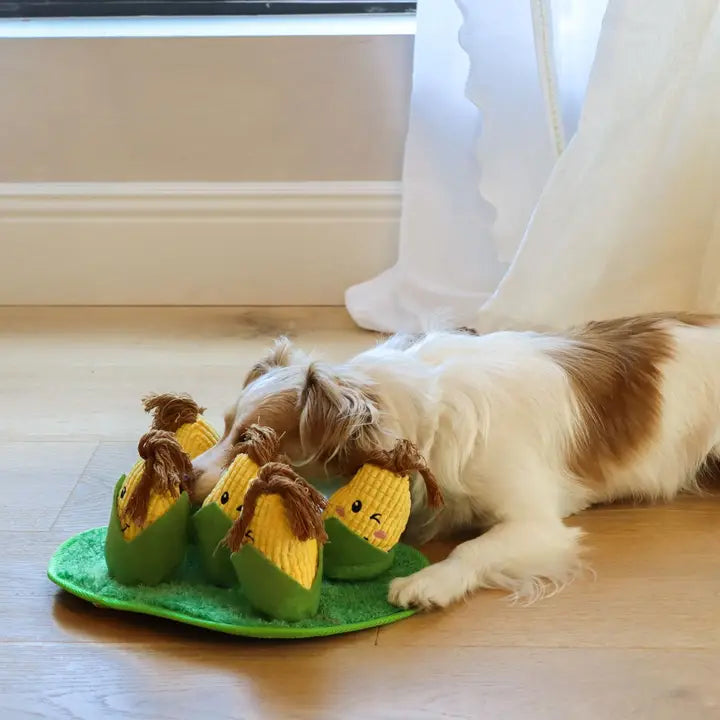 Corn Maze Snuffle Toy