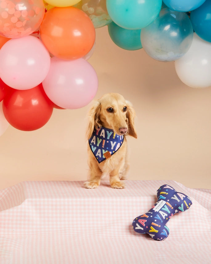 Birthday Yay Navy Dog Bandana