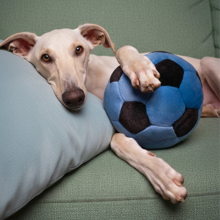 Blue Soccer Ball with Squeaker Plush Dog Toy 7"