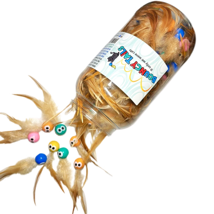 Bouncy Tails Feathers and Ball Cat Toy (Assorted Colors)