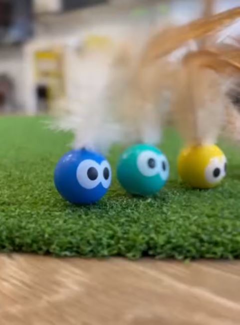 Bouncy Tails Feathers and Ball Cat Toy (Assorted Colors)