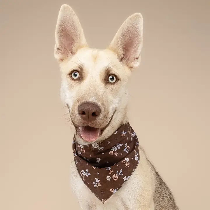 The Paws Hazel Bandana for Dogs and Cats
