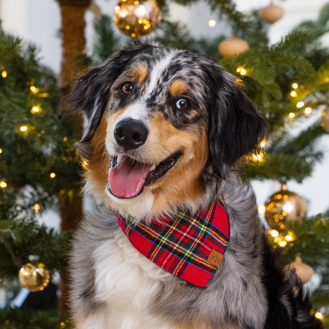 Tartan Plaid Flannel Holiday Dog Bandana