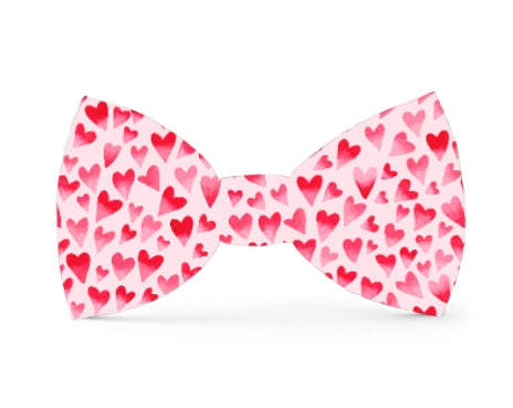 Heart Throb Valentine's Day Dog Bow Tie