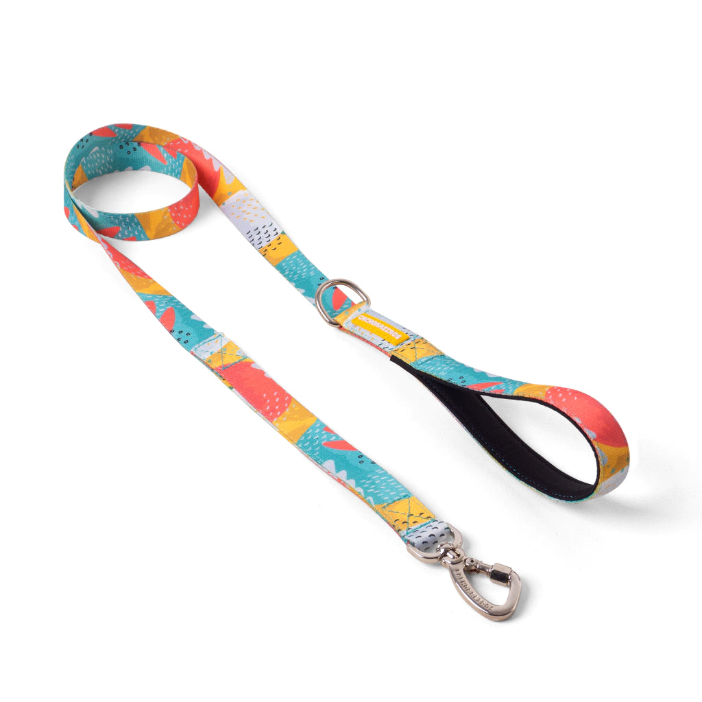 Cachorreiros Pitaya Leash