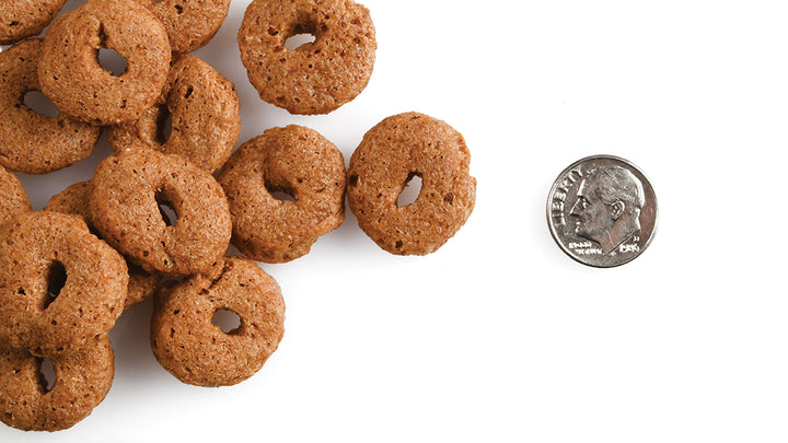 Crunchy O's Slammon' Smoked Salmon Dog Treats 6oz