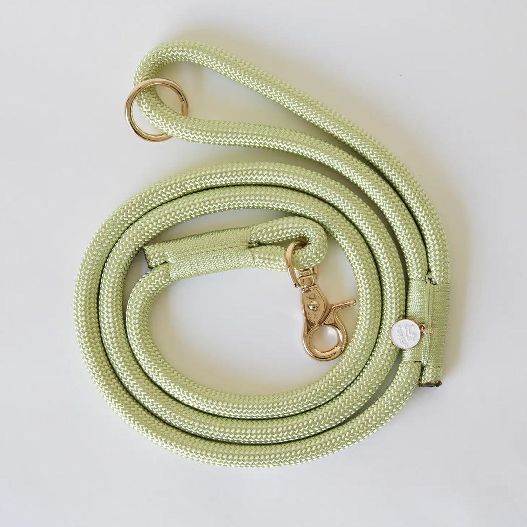 Lime Green Braided Rope Dog Leash