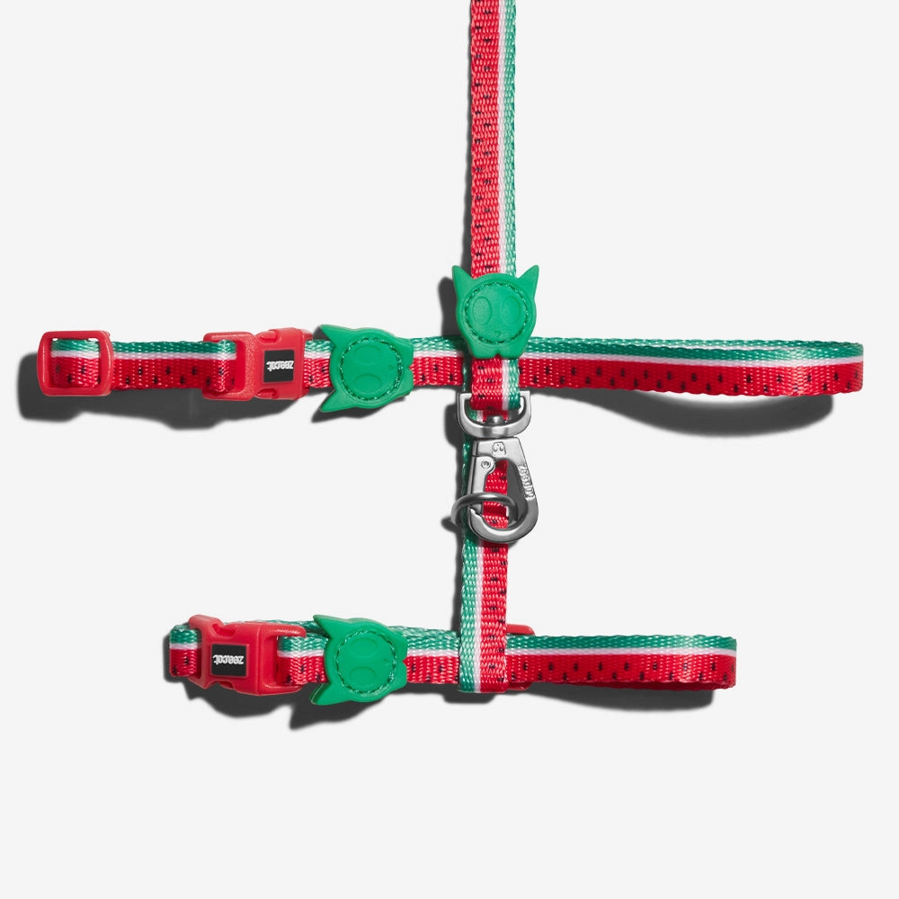 Lola Cat Harness with Leash