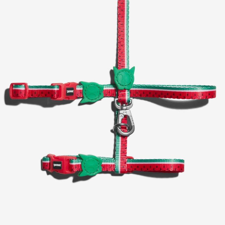 Lola Cat Harness with Leash