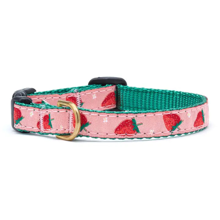 Strawberry Fields Small Breed Dog Collar