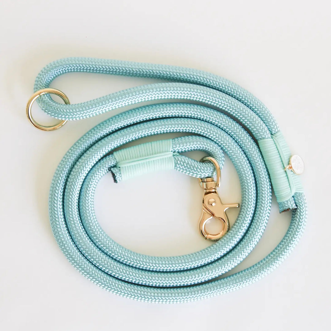 Aqua Braided Rope Dog Leash