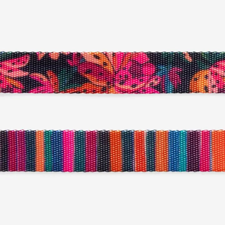 Selva Cat Harness with Leash