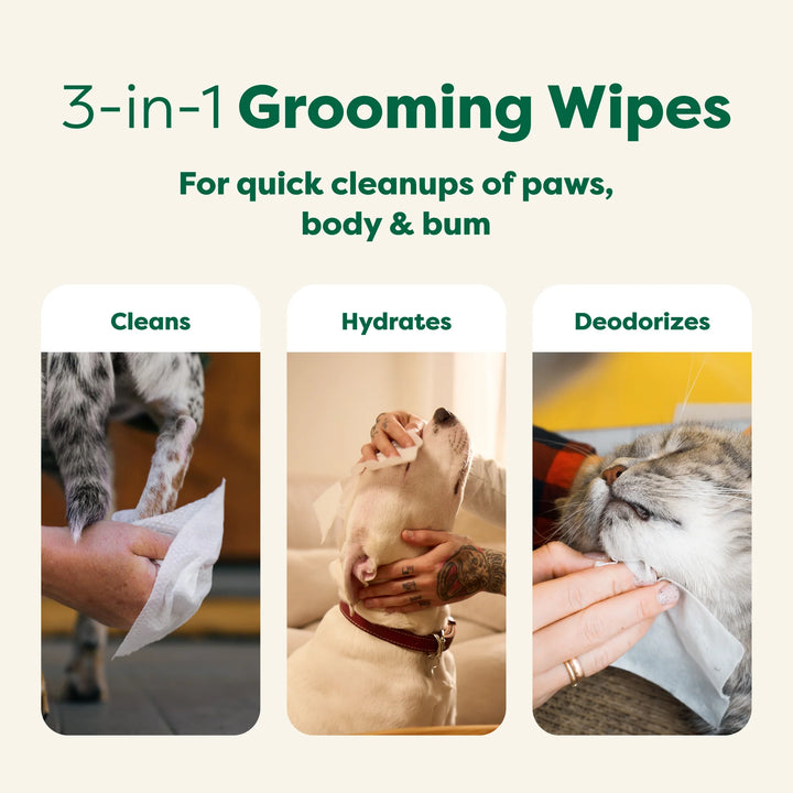 Earth Rated White Tea and Basil Compostable Dog Grooming Wipes 100 count