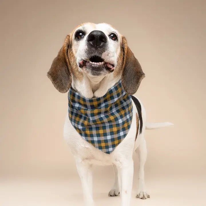 The Paws Maple Bandana for Dogs and Cats