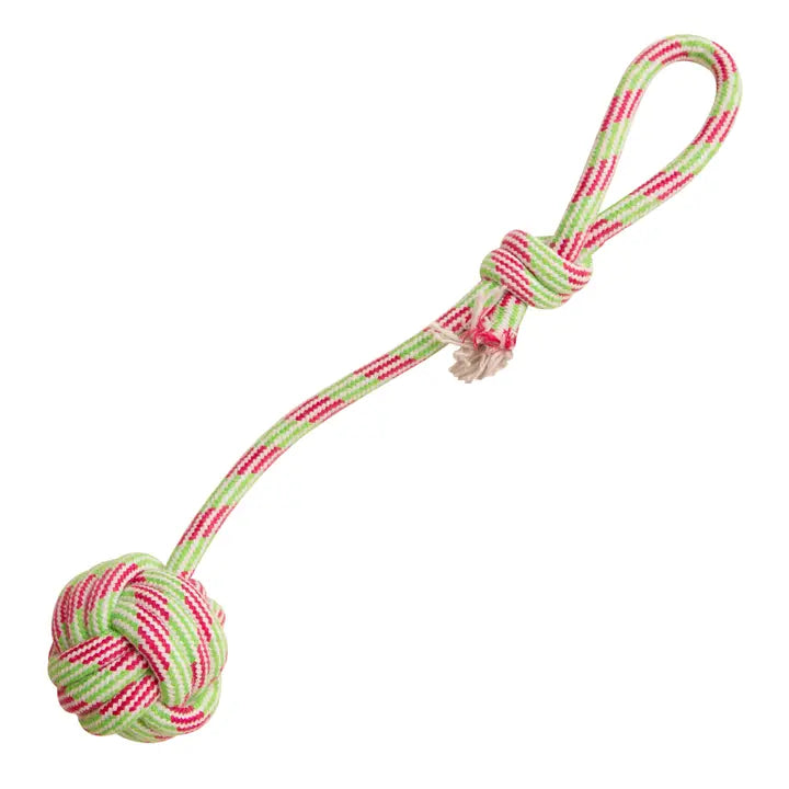 Floss n' Fun Rope Dog Toy