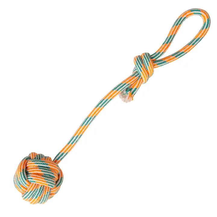 Floss n' Fun Rope Dog Toy