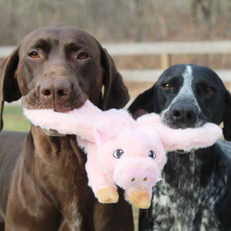 Tall Tails Flying Pig Rope Dog Toy 12"