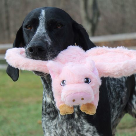 Tall Tails Flying Pig Rope Dog Toy 12"