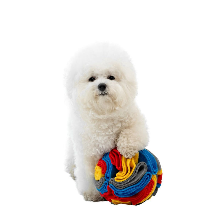 Territory Foraging Snuffle Ball for Dogs 6"