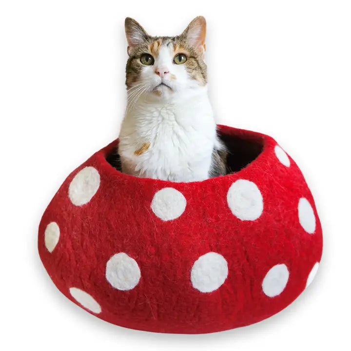 Eco Wool Red Mushroom Kitty Cave