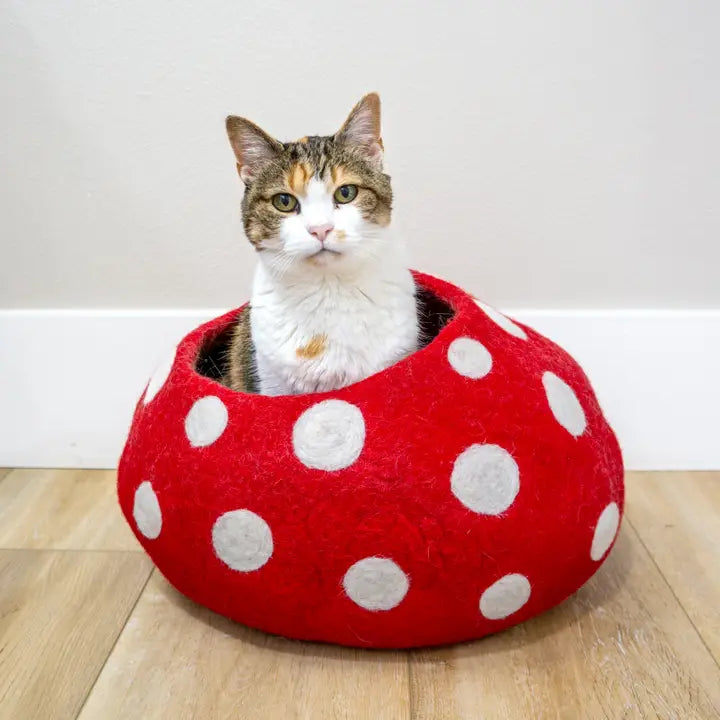 Eco Wool Red Mushroom Kitty Cave