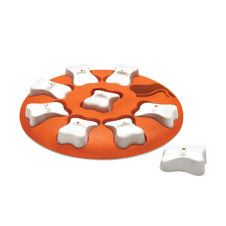 Outward Hound Dog Smart Interactive Treat Puzzle