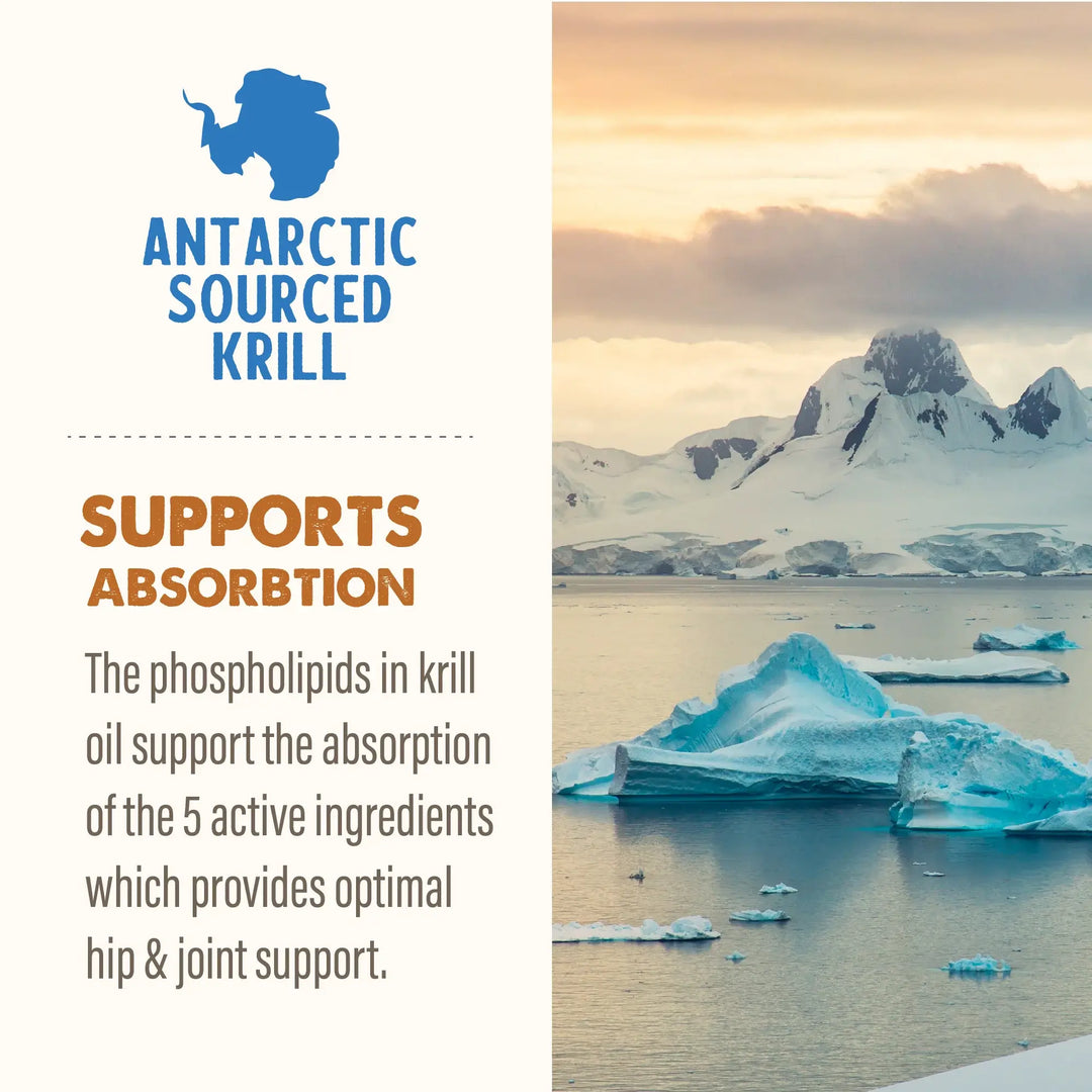 Grizzly Joint Aid Liquid for Dogs 16oz