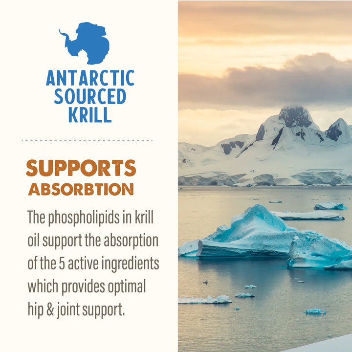 Grizzly Joint Aid Liquid for Dogs 16oz