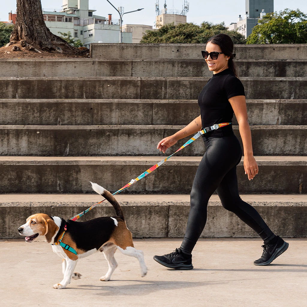 Cachorreiros Running Pitaya Hands Free Leash