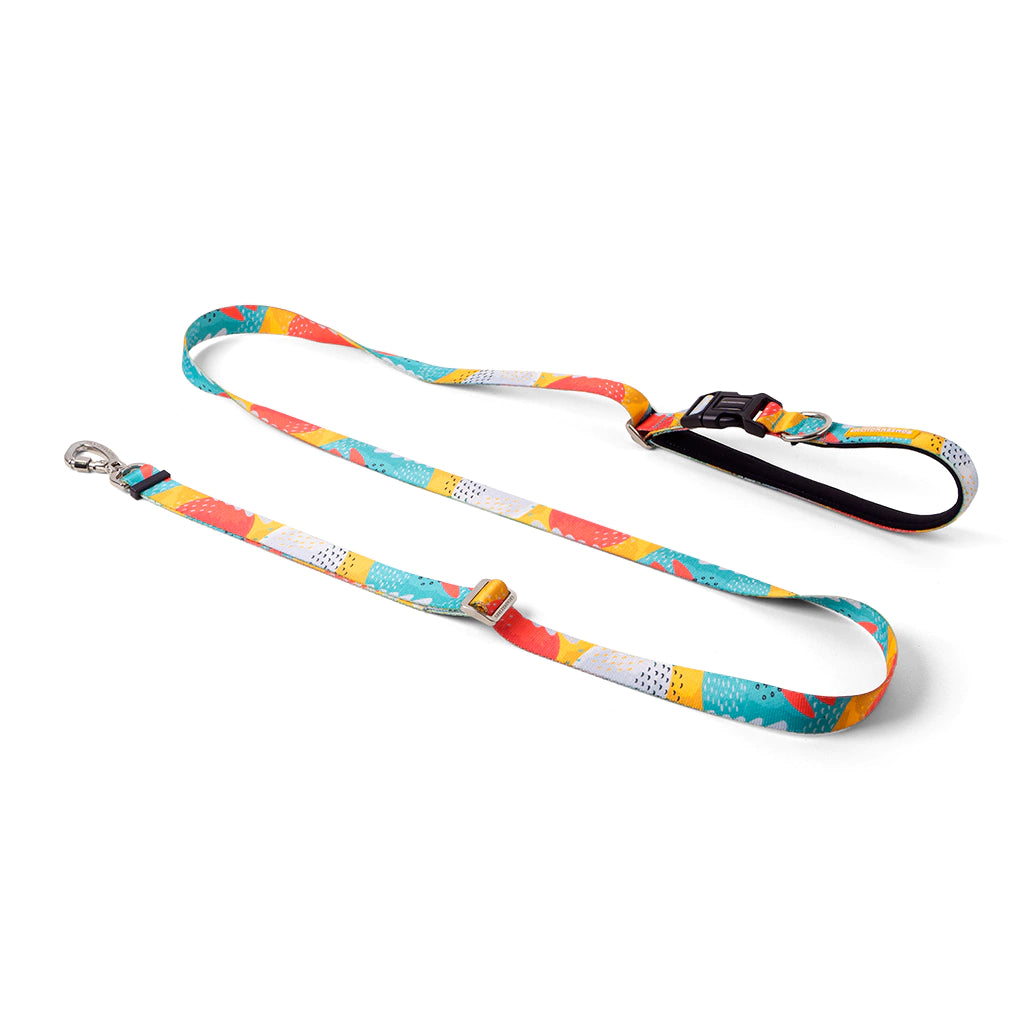 Cachorreiros Running Pitaya Hands Free Leash