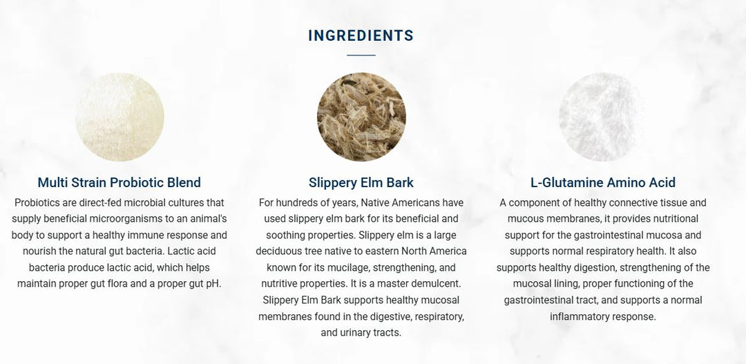 Gut Soothe | Anti-inflammatory for Dogs 52g