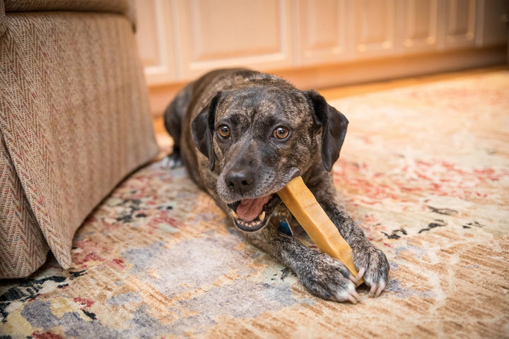 Himalayan Hard Yak Milk Chew