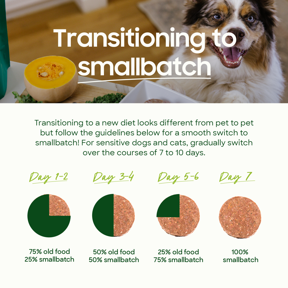 Smallbatch Frozen Lamb Patties 6lb for Dogs