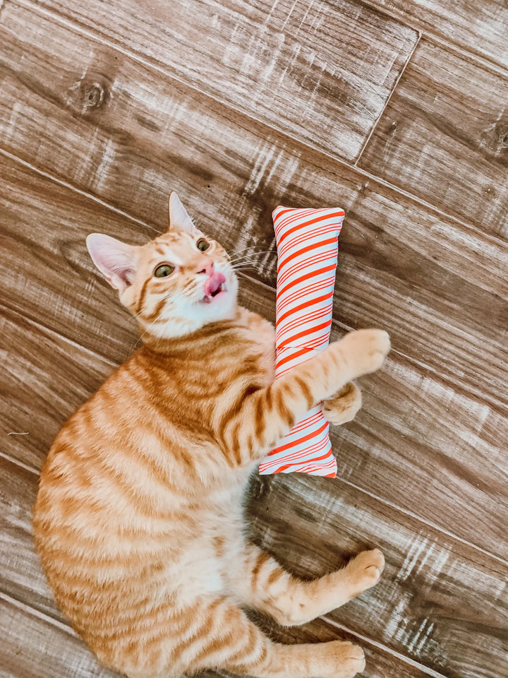Peppermint Stripe Holiday Cat Toy Kicker