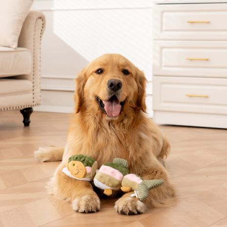 Tall Tails Trout Jointed Shake-Play Dog Toy 14"