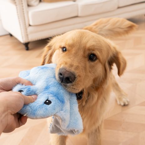 Tall Tails Animated Manta Ray Plush Dog Toy 8"
