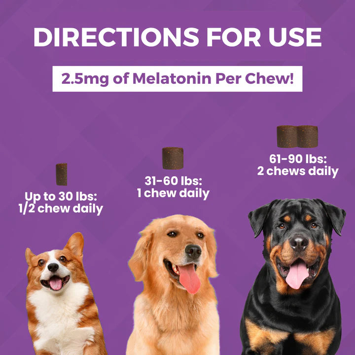 Nootie Dog Pro Max Calming Chews 90 count 450g