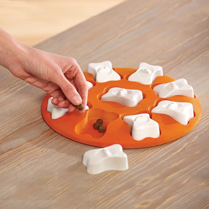 Outward Hound Dog Smart Interactive Treat Puzzle