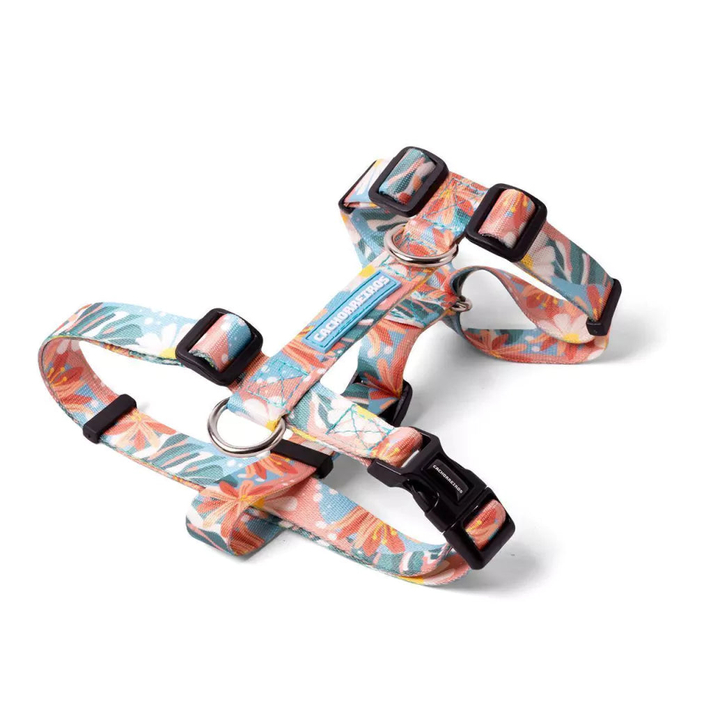 Cachorreiros Floral H Harness