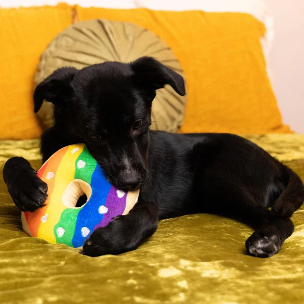 Pride Donut Large Plush Dog Toy