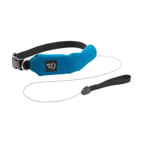 RadDog™ All In One Collar + Leash Size Large