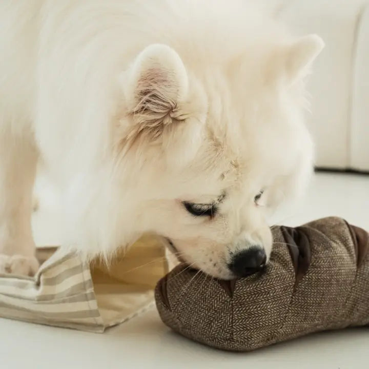 Rye Bread Enrichment Dog Toy