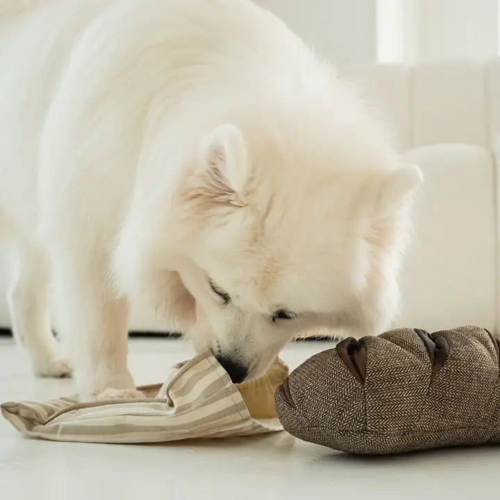 Rye Bread Enrichment Dog Toy