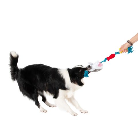 Territory Shark Floating Tug Toy with Squeaker for Dogs 20"