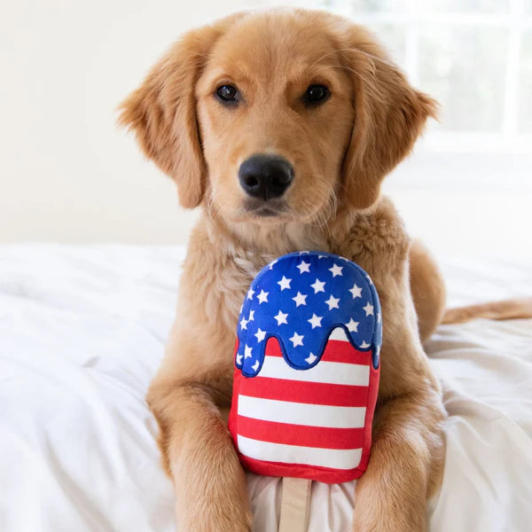 Star Pop Plush Dog Toy