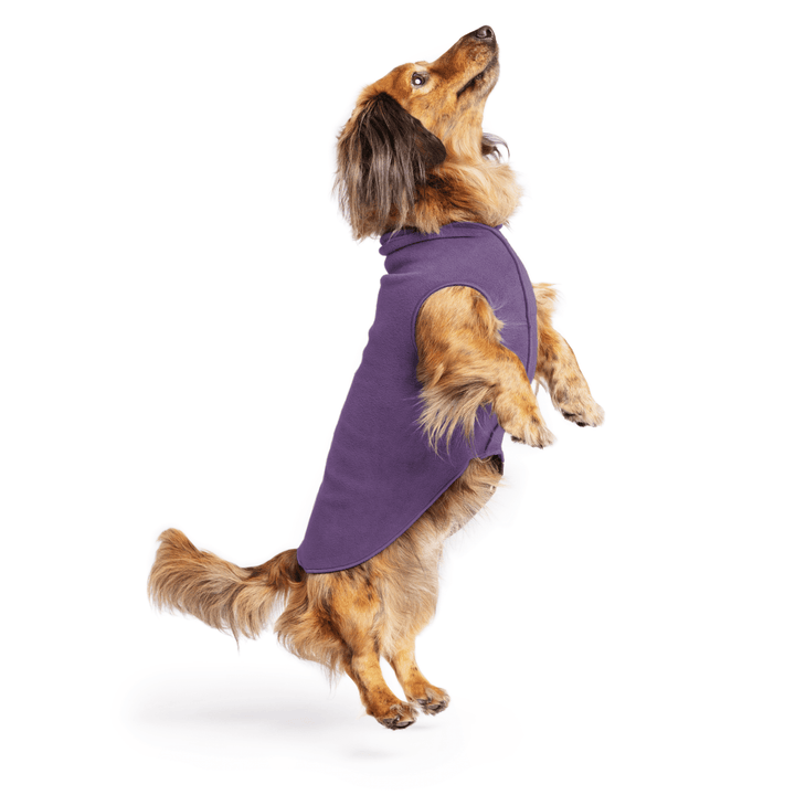 Goldpaw Stretch Fleece Dog & Cat Pullover, Huckleberry Purple