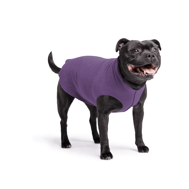 Goldpaw Stretch Fleece Dog & Cat Pullover, Huckleberry Purple