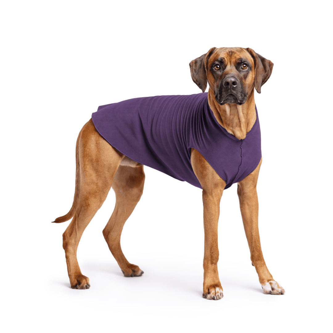 Goldpaw Stretch Fleece Dog & Cat Pullover, Huckleberry Purple