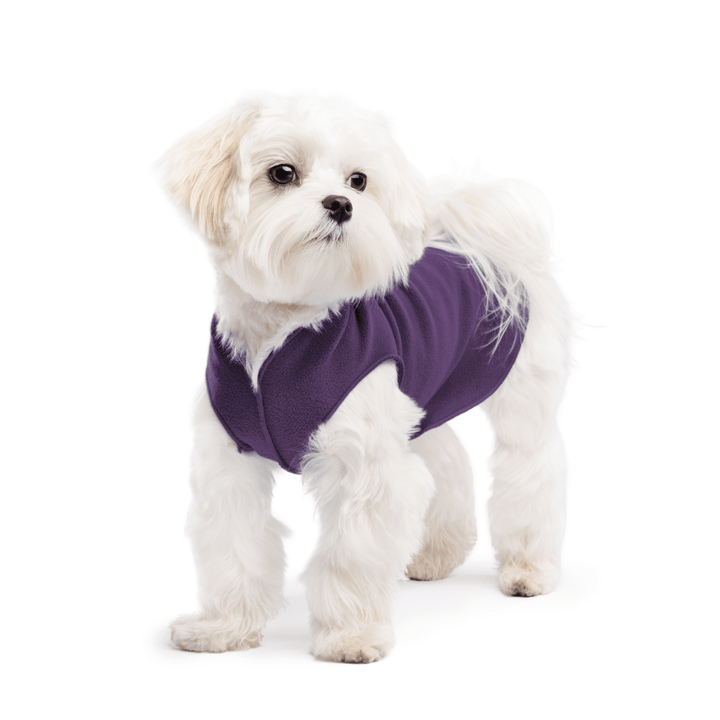 Goldpaw Stretch Fleece Dog & Cat Pullover, Huckleberry Purple